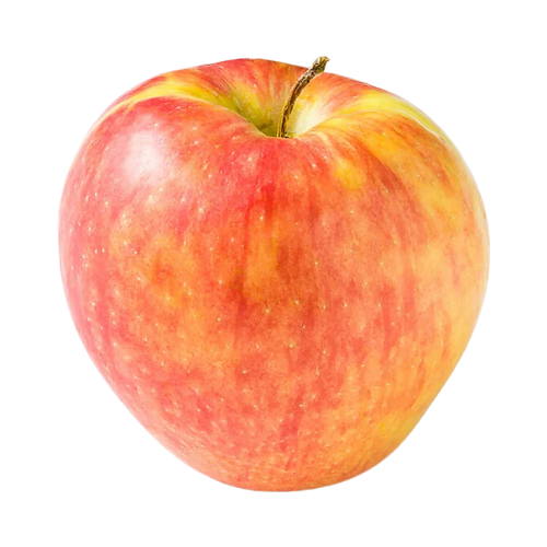 Honeycrisp Apples, Single