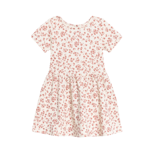 Colored Organics Short Sleeve Stella Swing Dress Alma Floral 12-18M