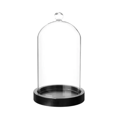 Officine Lutece Glass Bell w/ Black Wooden Base