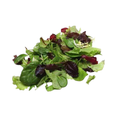 Earthbound Farm Organic Spring Mix 10oz