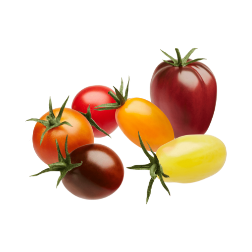 Sunset Wild Wonders Gourmet Medley Tomatoes