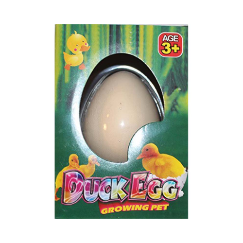 Growing Pet Duck Egg