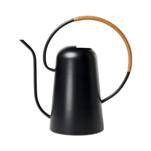 Hilton Carter Black Metal Watering Can