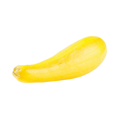 Yellow Squash Single
