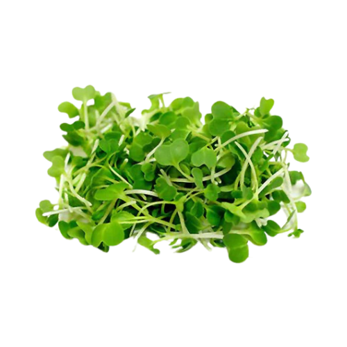 Good Healthy Organic Rainbow Microgreens 3oz