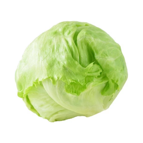 Organic Iceberg Lettuce Head  Single