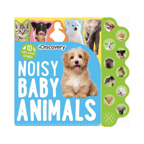 Noisy Baby Animals Book