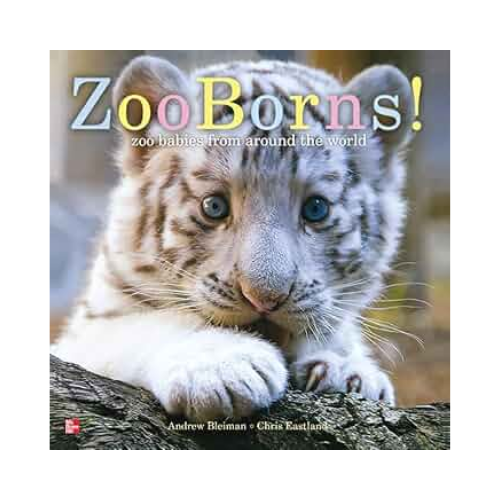 Zoo Borns! Book