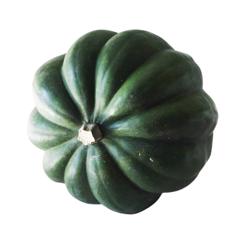 Acorn Squash Small