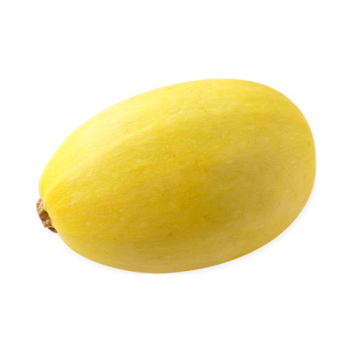 Spaghetti Squash Small