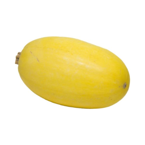 Spaghetti Squash Medium