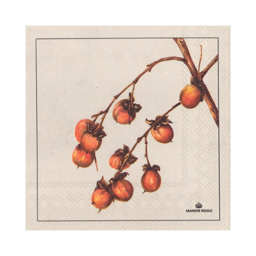 Manor Road Persimmon Cocktail Napkin 20pk