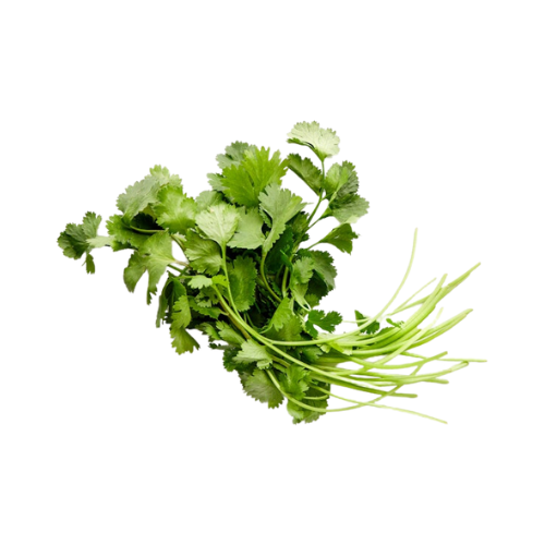 Soli Organic Cilantro .5oz