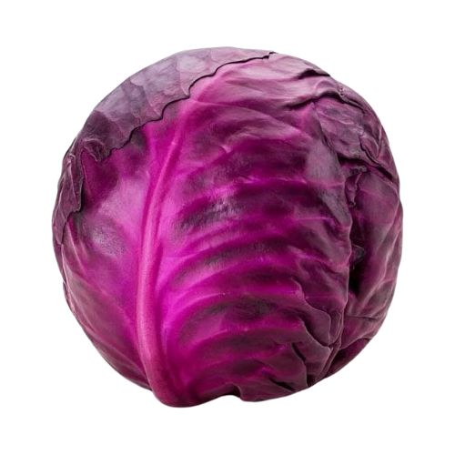 Red Cabbage