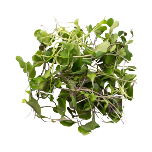 Microgreens, 1oz