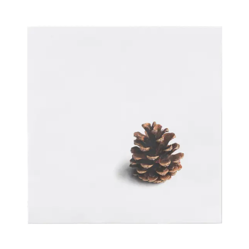 Pinecone Napkin