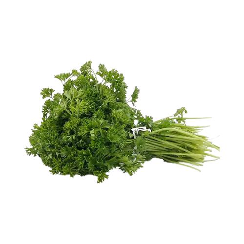 Curly Parsley Bunch