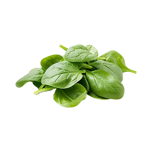 Marketside Fresh Spinach 10oz