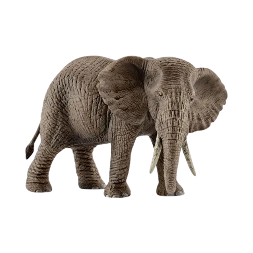 Schleich Afican Elephant Female Safari Animal Toy