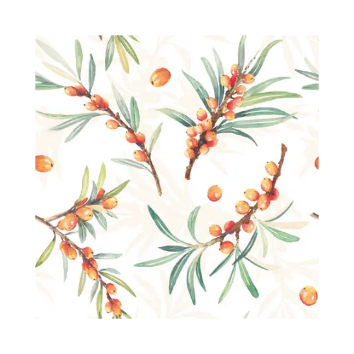 Sea Buckthorn Cocktail Napkins 20ct