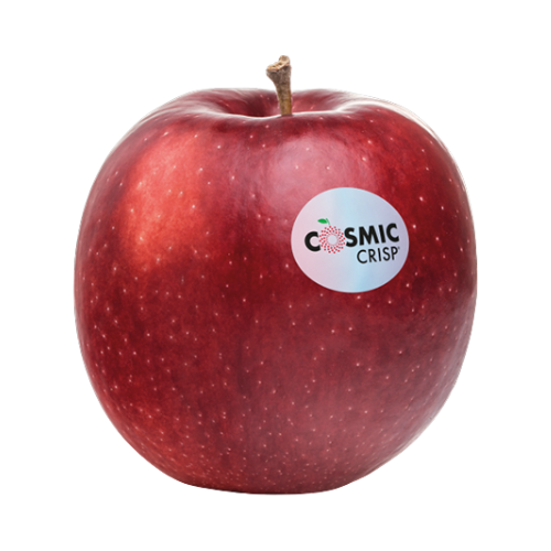 Cosmic Crisp Apples single