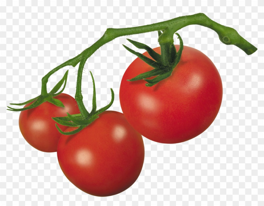 Tomatoes on Vines