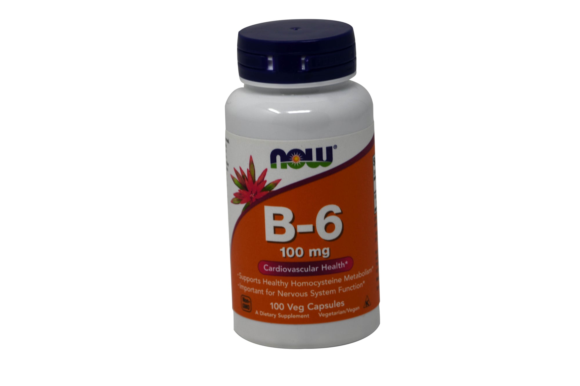 NOW B-6 100 mg