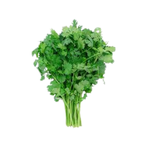 Cilantro 1 Bunch