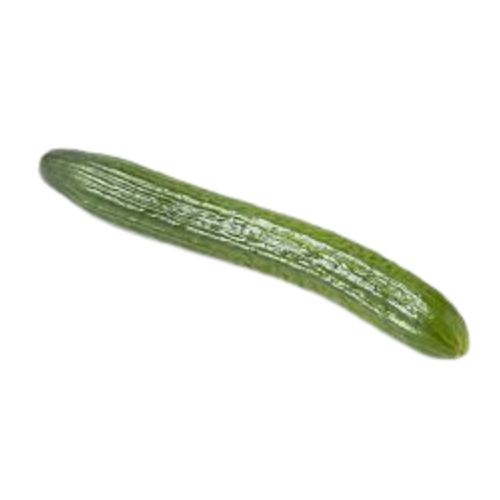 English Cucumber Single