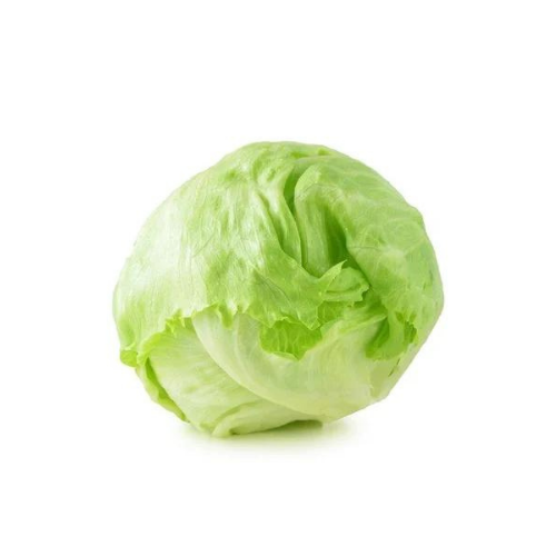 Iceberg Lettuce Head Single