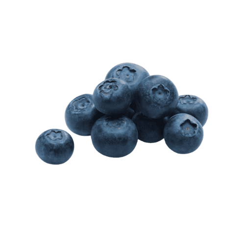 Blueberries 16oz