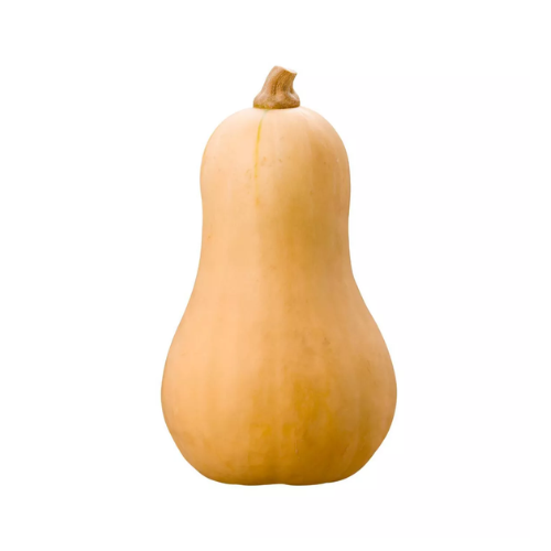 Butternut Squash Small