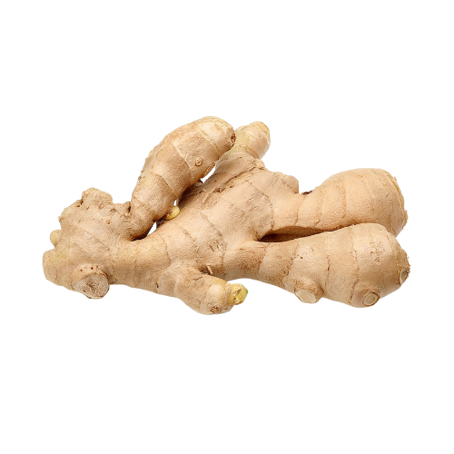 Ginger Root 1ct