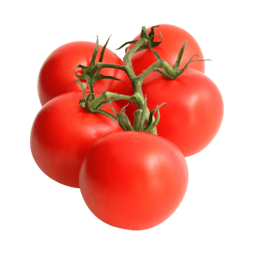 Tomatoes Campari 1 LB