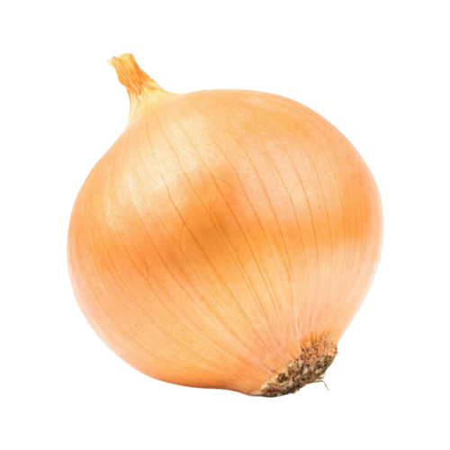 Yellow Onion 1ct