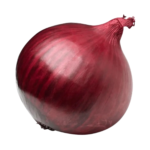 Red Onion 1ct