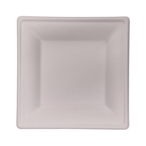 EcoChoice Square Plate 10x10 25pk