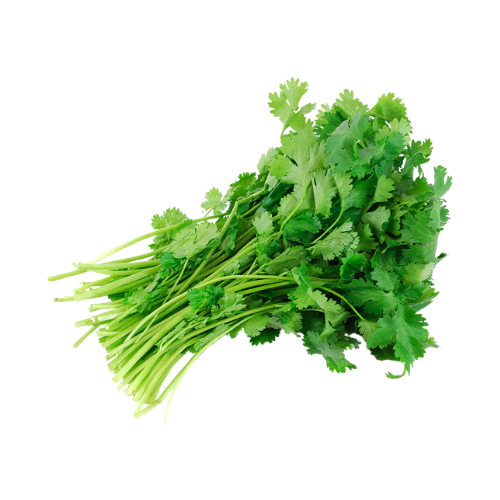 Cilantro Bunch