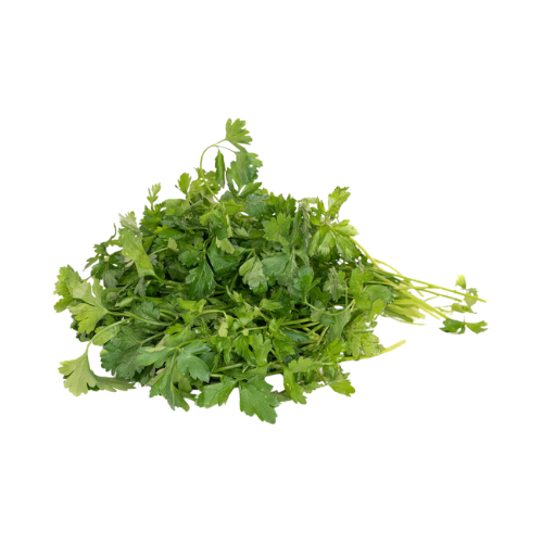 Italian Parsley  Bunch