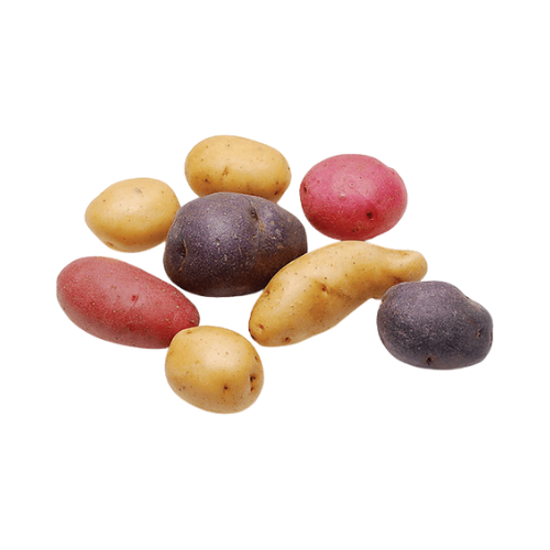 Gemstone Potatoes 1.5 LB