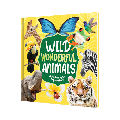 Wild Wonderful Animals Book