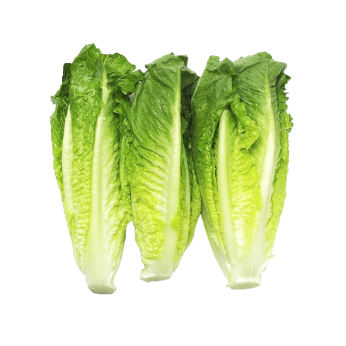 Romaine Organic Hearts 3pk