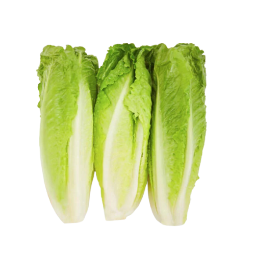 Romaine Hearts 3 Ct