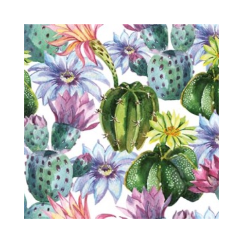 Watercolor Cactus Lunch Napkins 20ct