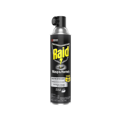 Raid Wasp & Hornet Spray