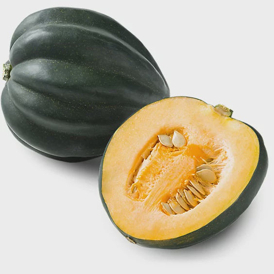 Green Acorn Squash Large